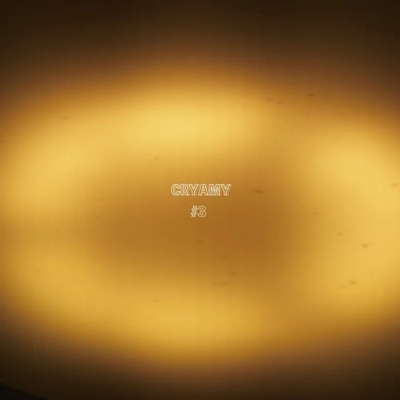 3 (アナログレコード) : CRYAMY | HMV&BOOKS online - NPE-9