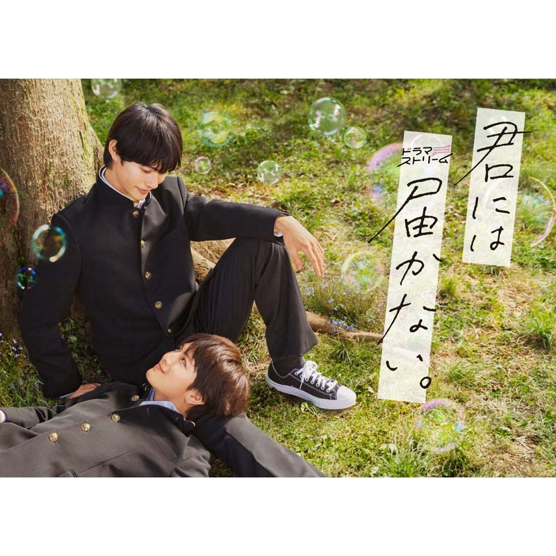 君には届かない。 Blu-ray BOX | HMV&BOOKS online - TCBD-1538