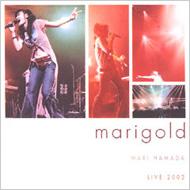 LIVE TOUR '02 Marigold : 浜田麻里 | HMV&BOOKS online - MEBR-4002