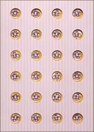 We are LA-PPISCH!!-COMPLETE DVD BOX・VICTOR YEARS&03- : レピッシュ