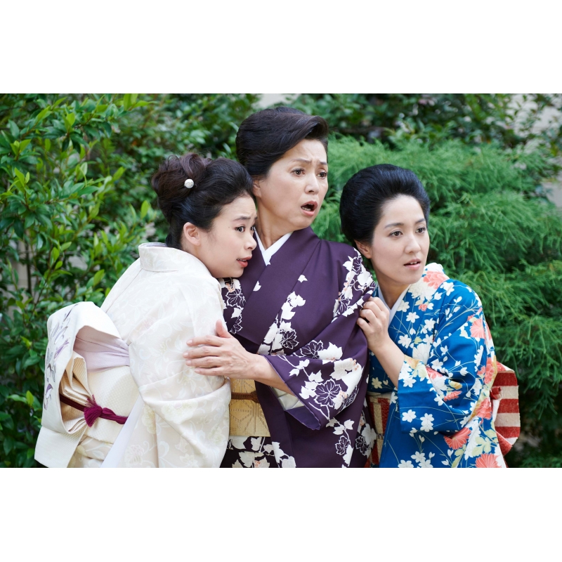 僕とシッポと神楽坂 DVD-BOX | HMV&BOOKS online - HPBR-333