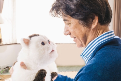 おじさまと猫 DVD-BOX : おじさまと猫 | HMV&BOOKS online - HPBR-1231