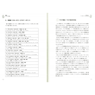 アーユルヴェーダとマルマ療法 ヨーガ治療のエネルギー・ポイント