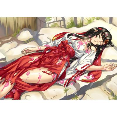 クイーンズブレイド スパイラルカオス（激闘パック） : Game Soft