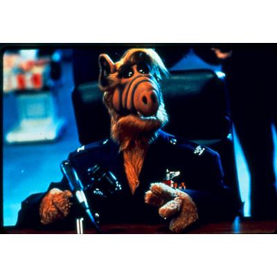 アルフ/ザ・ファイナル・スペシャル : アルフ | HMV&BOOKS online