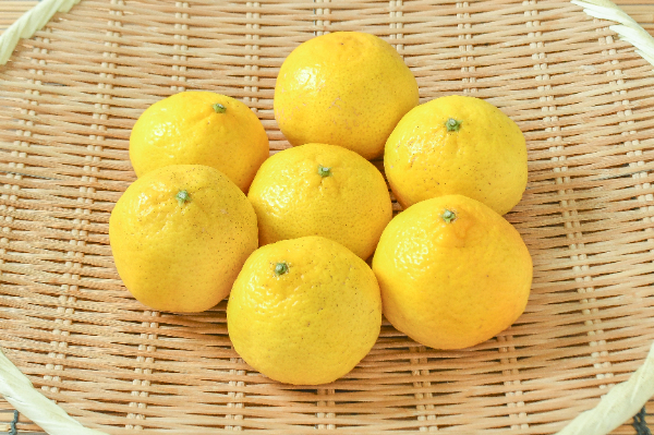 春峰（しゅんぽう）（15玉サイズ）（秀） 【業務用食材の仕入れなら