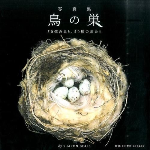 鳥の巣 Beals, Sharon(著) - グラフィック社 | 版元ドットコム