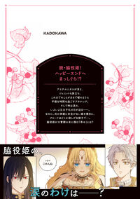 ある日、お姫様になってしまった件について 13 Spoon(著