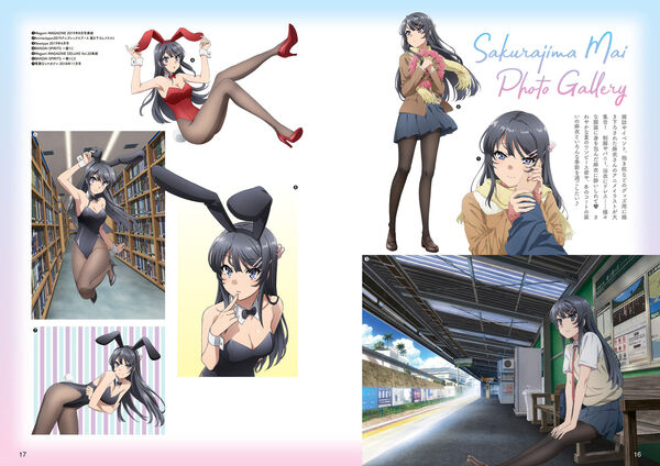 キャラクターアニバーサリーシリーズ 青春ブタ野郎はバニーガール先輩