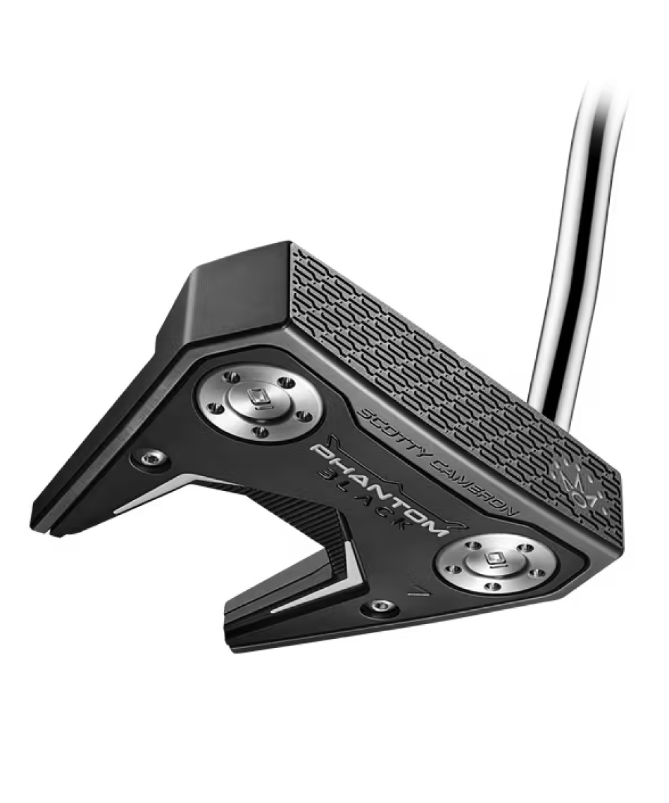 タイトリスト(Titleist) ゴルフクラブ パター スコッティ・キャメロン