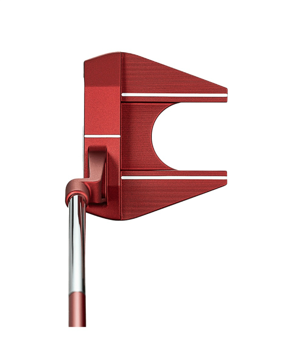 真筆】茶掛 白珪尚可磨◇大徳寺派 玉瀧寺 前大徳 戸上明道 共箱