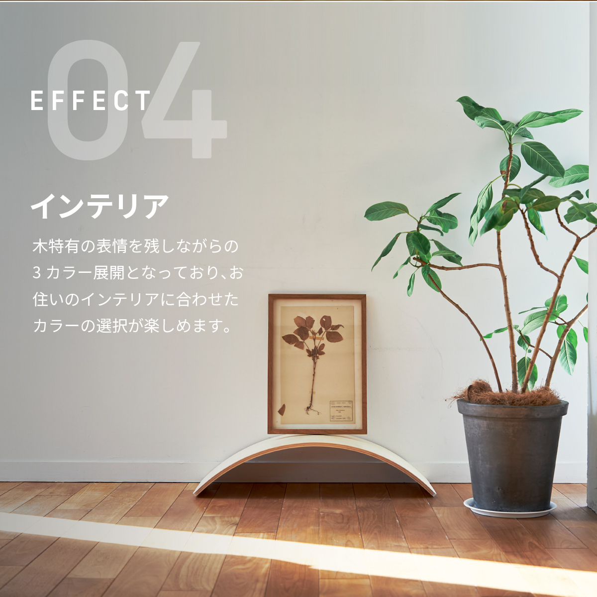 バランスボード 木製 耐荷重200kg 天然木 保護コーティング