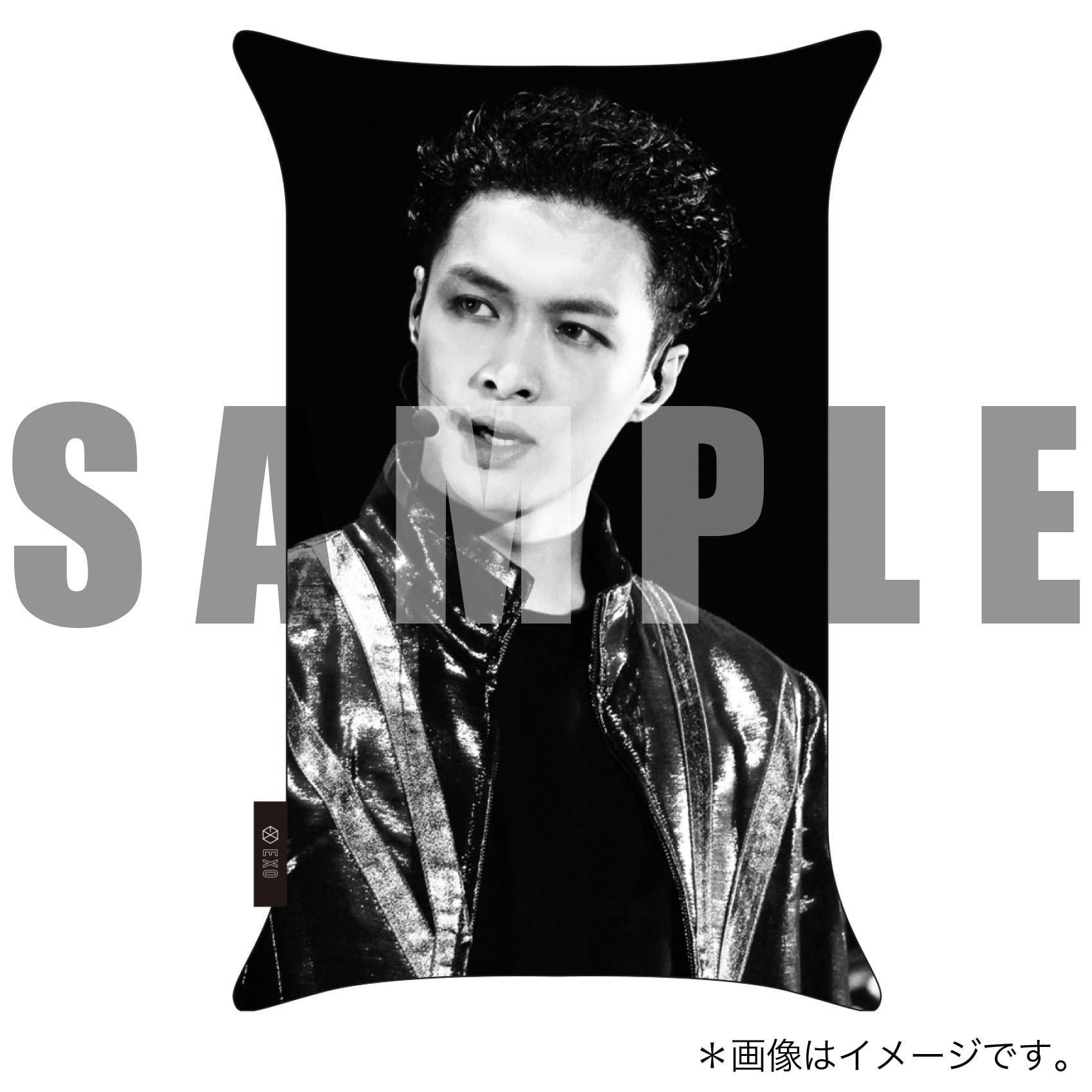 EXO(エクソ) OFFICIAL WEBSITE