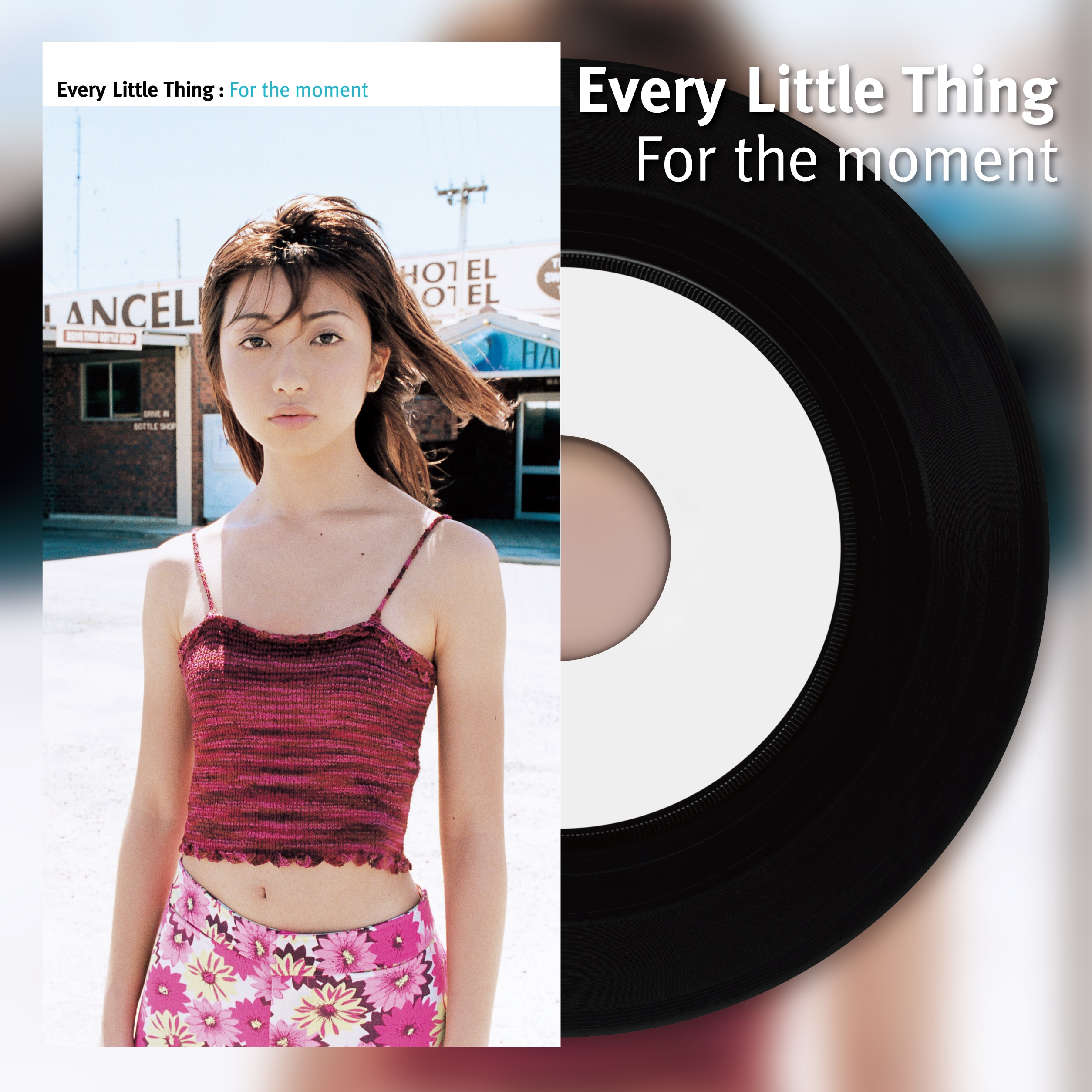 Every Little Thing】For the moment / ハリネズミの恋（アナログ