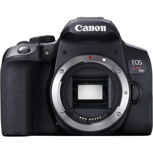 Canon EOS Kiss X10iを徹底解説。作例からおすすめレンズまで | ONE