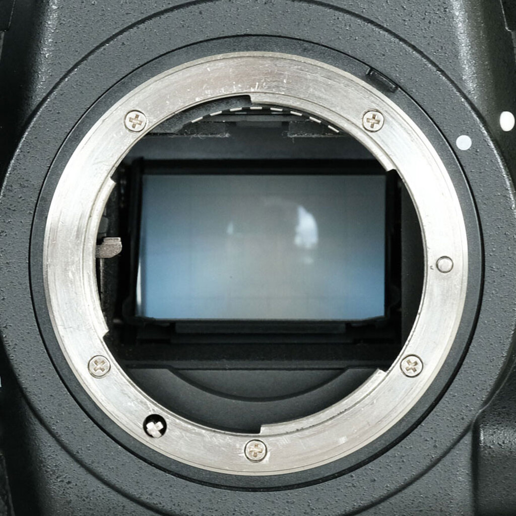 Nikon D4Sの出品 | ONE SCENE（ワンシーン）