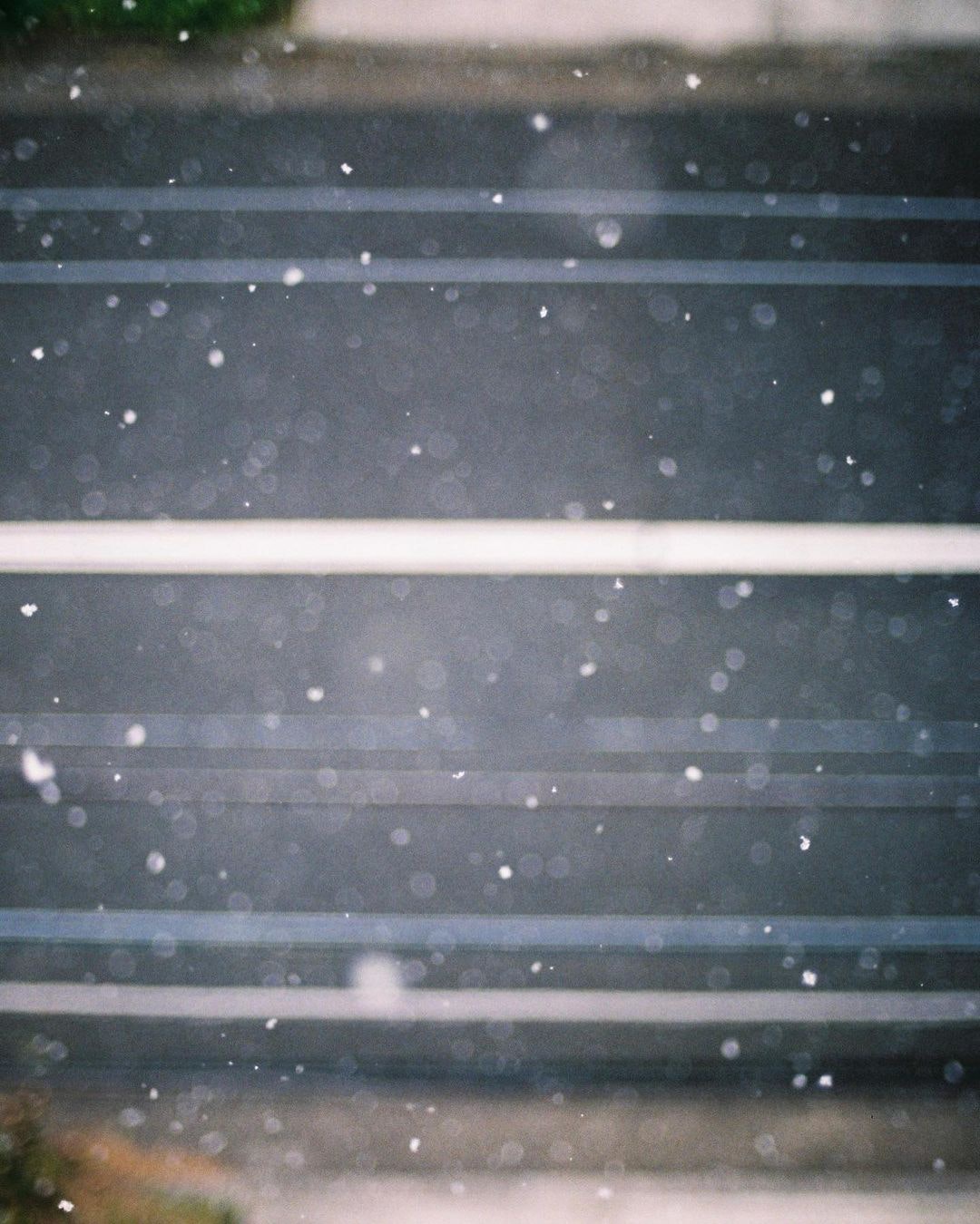 Nikon AI Nikkor 50mm f/1.4Sを徹底解説。作例から中古相場まで | ONE