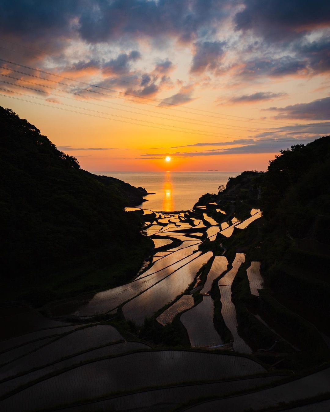 Canon RF24-105mm F4-7.1 IS STMを徹底解説。作例からレビューまで