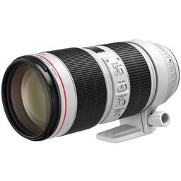 Canon EF70-300mm F4-5.6L IS USMを徹底解説。作例からレビューまで