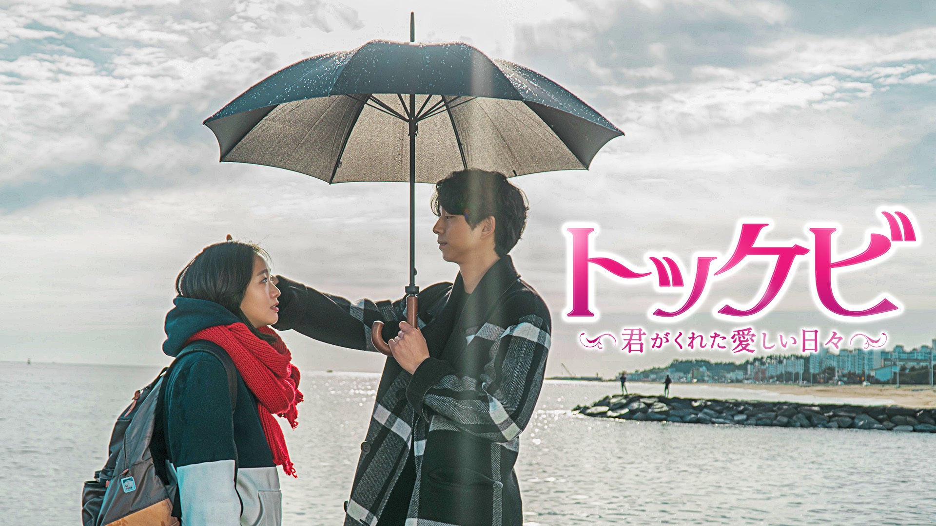 トッケビ〜君がくれた愛しい日々〜 | Lemino(レミノ) - 映画・ドラマ