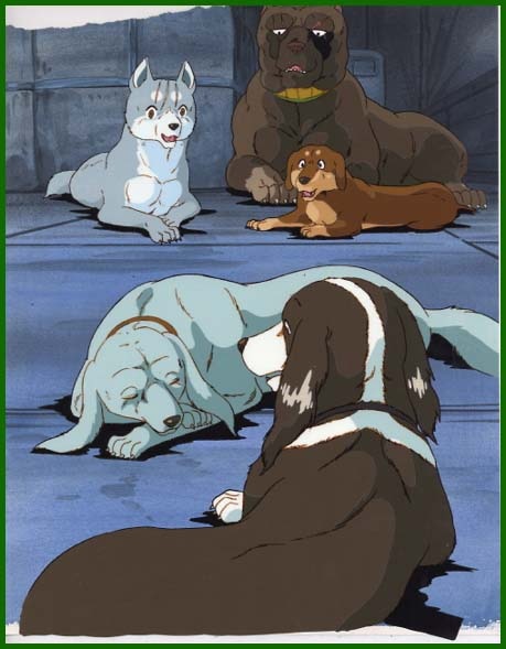 銀牙 -流れ星 銀- 銀/クロス