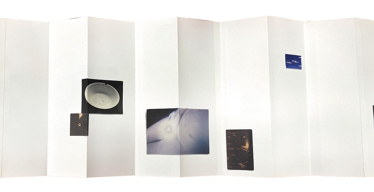 7001］ 山本昌男 masao yamamoto 直筆サイン本「omizuao オオミズアオ」