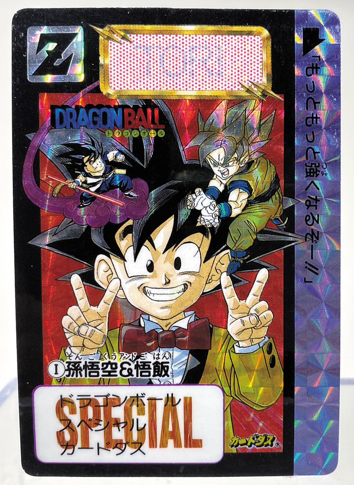 ドラゴンボールカードダス ファミリーNo.6 めちゃんこプロジェクト