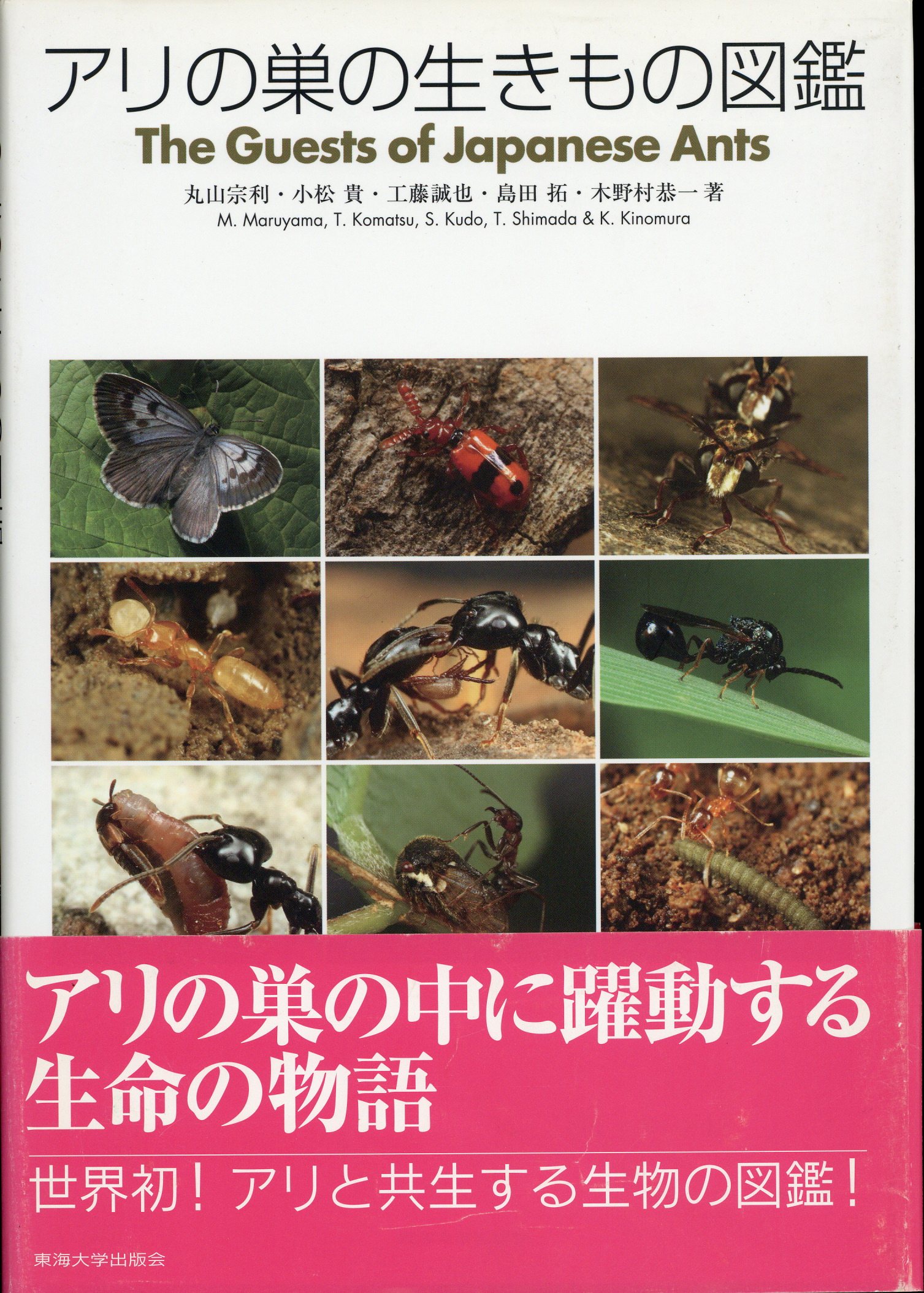 アリの巣の生きもの図鑑 東海大学出版 好蟻性昆虫 蟻 共生 アリの巣の