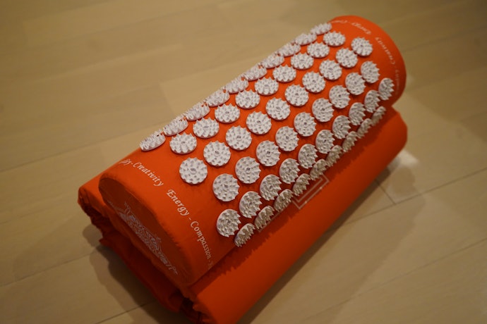 よく眠れる』より“家サウナ的存在”。大絶賛すぎて怪しいシャクティ