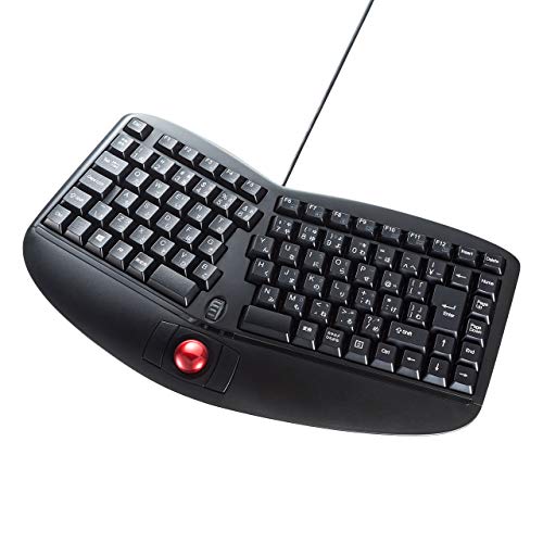 エルゴノミクスキーボードのおすすめ人気ランキング【2026年2月