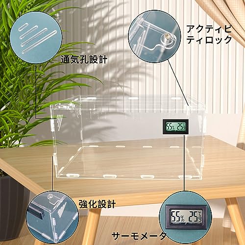爬虫類ケージ 80×20×30②台 仕切り固定 配線穴付け木無し 全