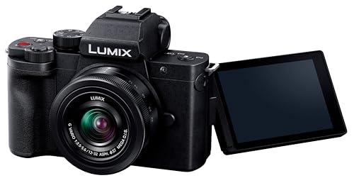 パナソニック LUMIX（ルミックス）のミラーレスのおすすめ人気