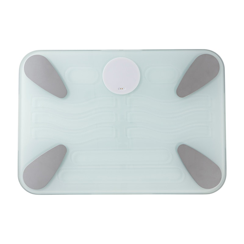 issin スマートバスマット 体組成計モデル SBM24W01LJを検証レビュー