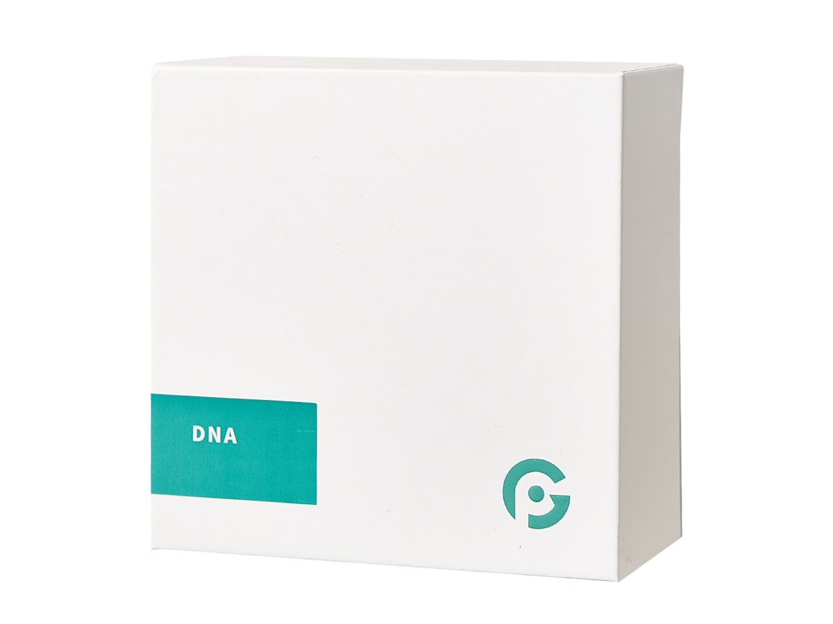 フィシオエナジェティック 内臓テストキット フィシオエナジェテック