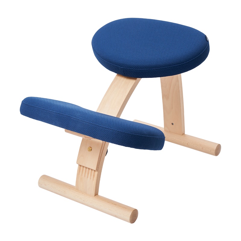 バランスラボ ラクに姿勢がよくなる椅子 バランス イージーをレビュー