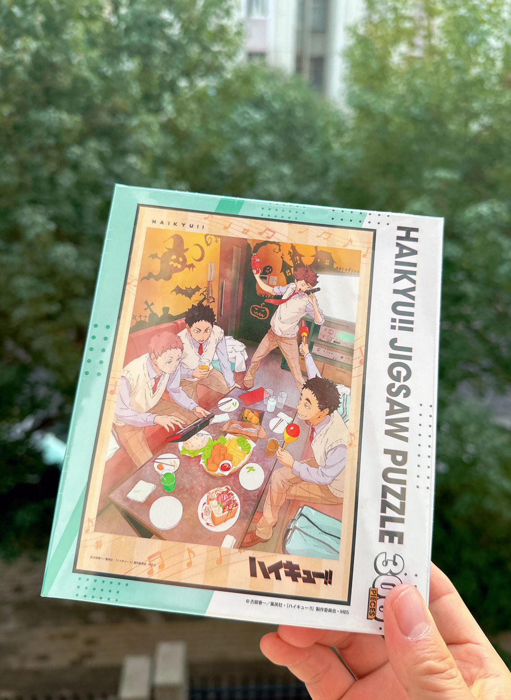 パズル 【ハイキュー!!】