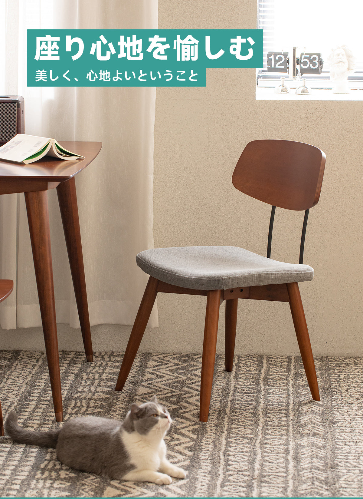 Woody Prime Boxツゲ材 クッション付き木製ダイニングチェア | 座り