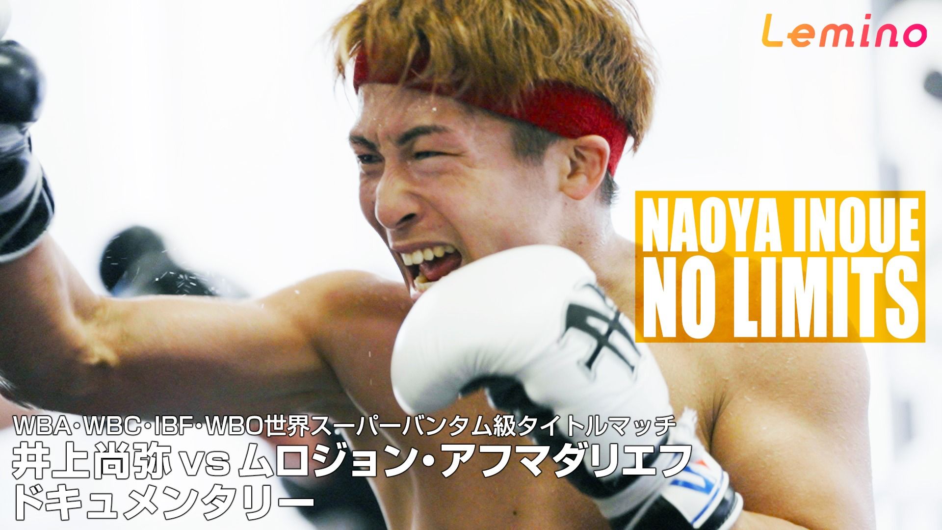 ボクシング・井上尚弥選手、5度目の防衛戦に向けて闘志を燃やす