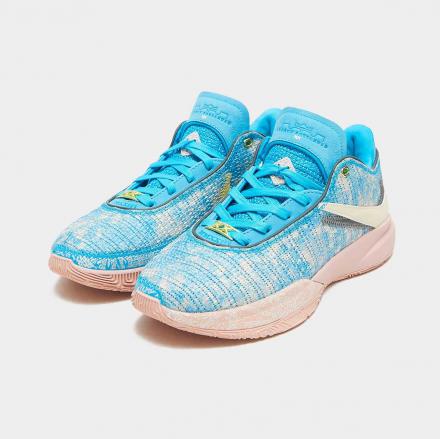 国内2月17日発売予定】 ナイキ レブロン 20 