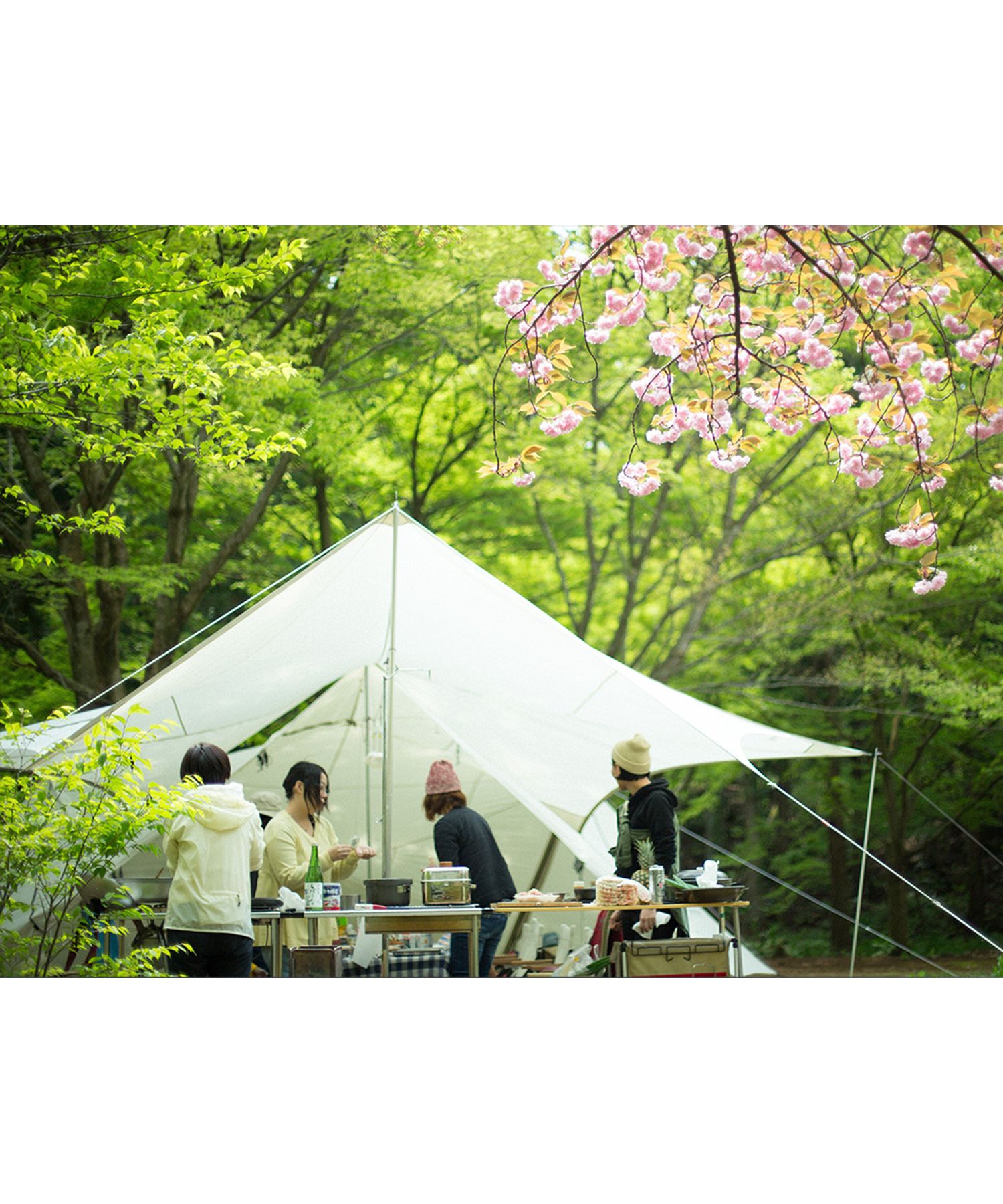 HDタープ ヘキサエヴォ Pro.アイボリー| スノーピーク(Snow Peak)