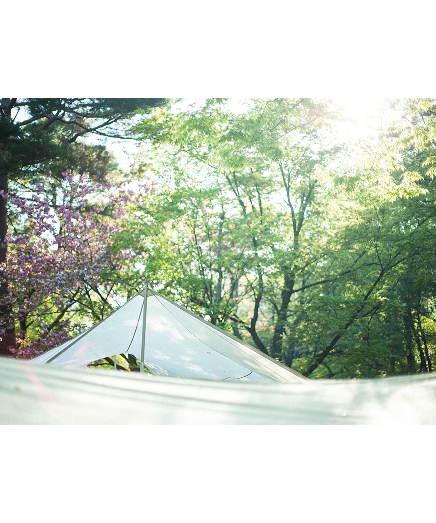 HDタープ ヘキサエヴォ Pro.アイボリー| スノーピーク(Snow Peak)