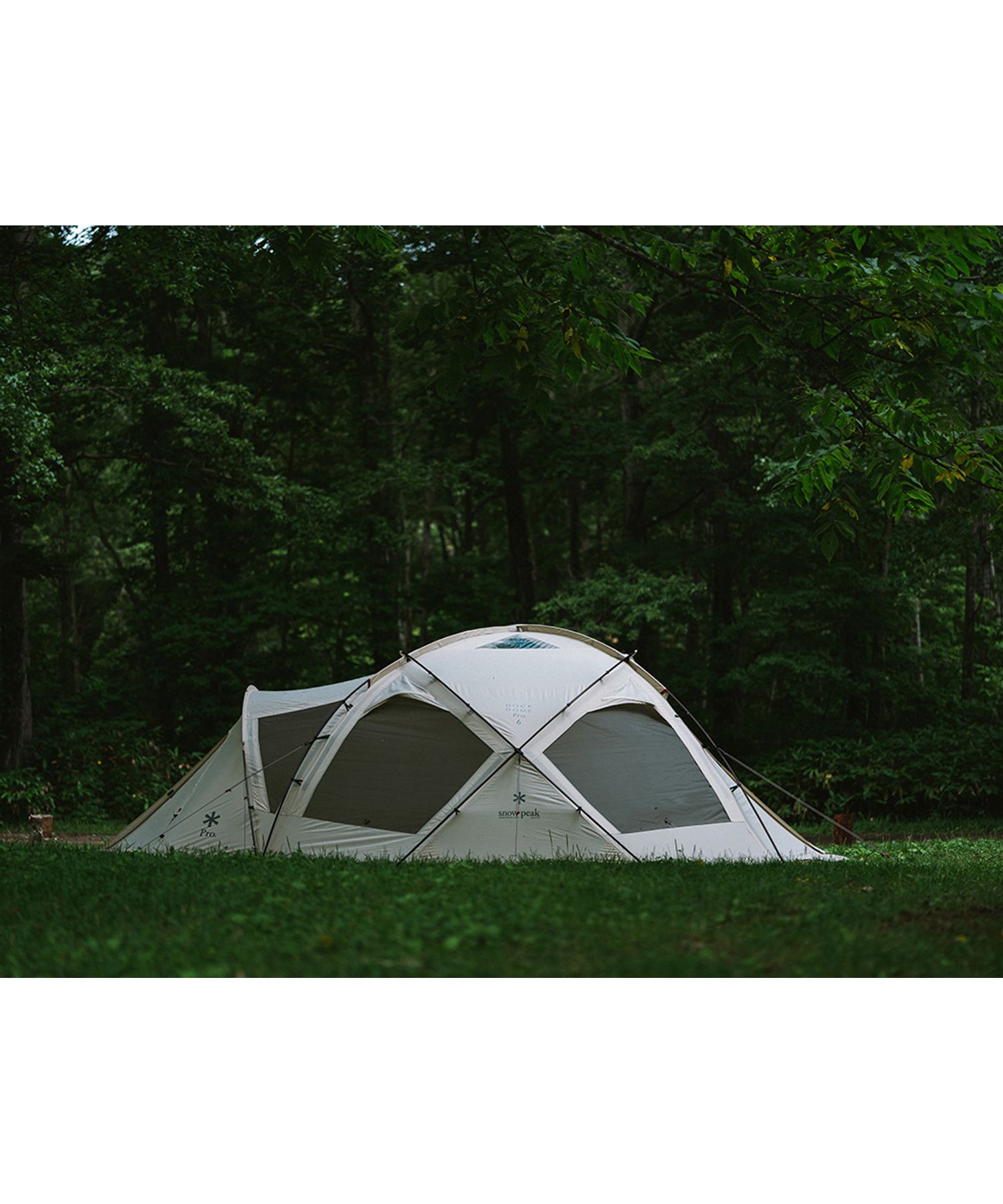 ポイントギフト】ドックドーム Pro.6 ブラックフレームセット