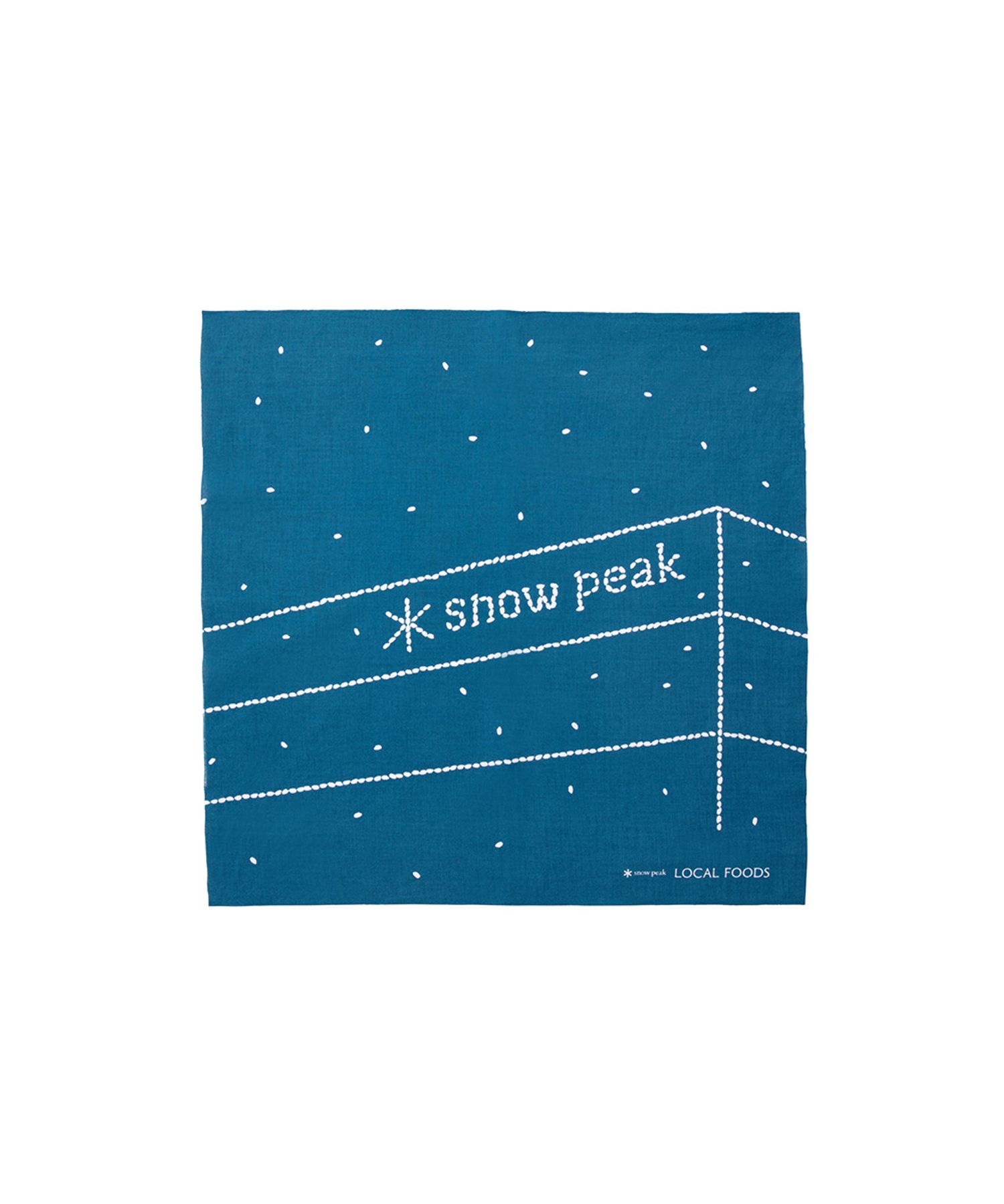 新潟下田産コシヒカリ雪室貯蔵 300g 手ぬぐいハンカチセット