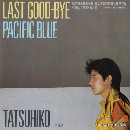 山本達彦 last good-bye WTP-17370 | レコード通販