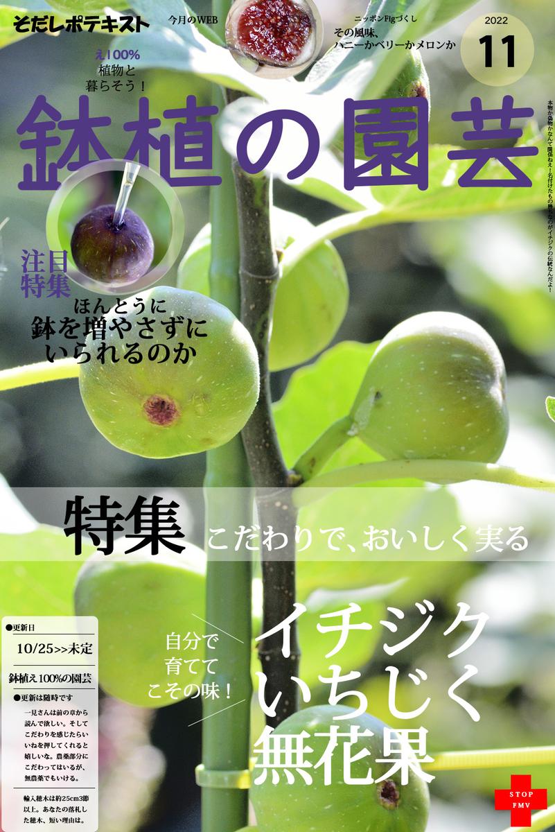 食いしん坊のイチジク栽培Part2｜そだレポ（栽培レポート）by鉢植え100