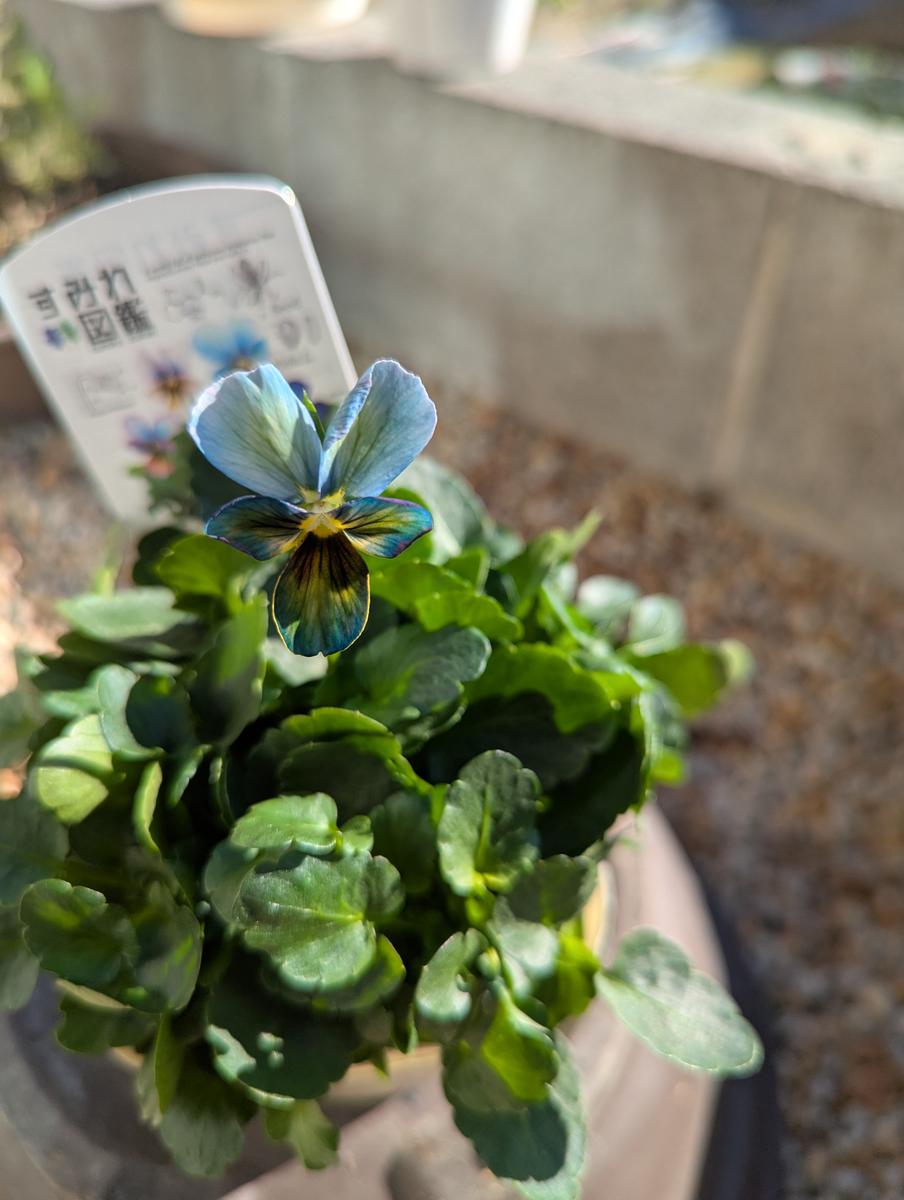 img_cache_d_1397097_1_17638854