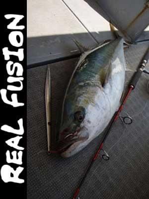 MC works'] REAL FUSION RF 595LR - RISE Shopping