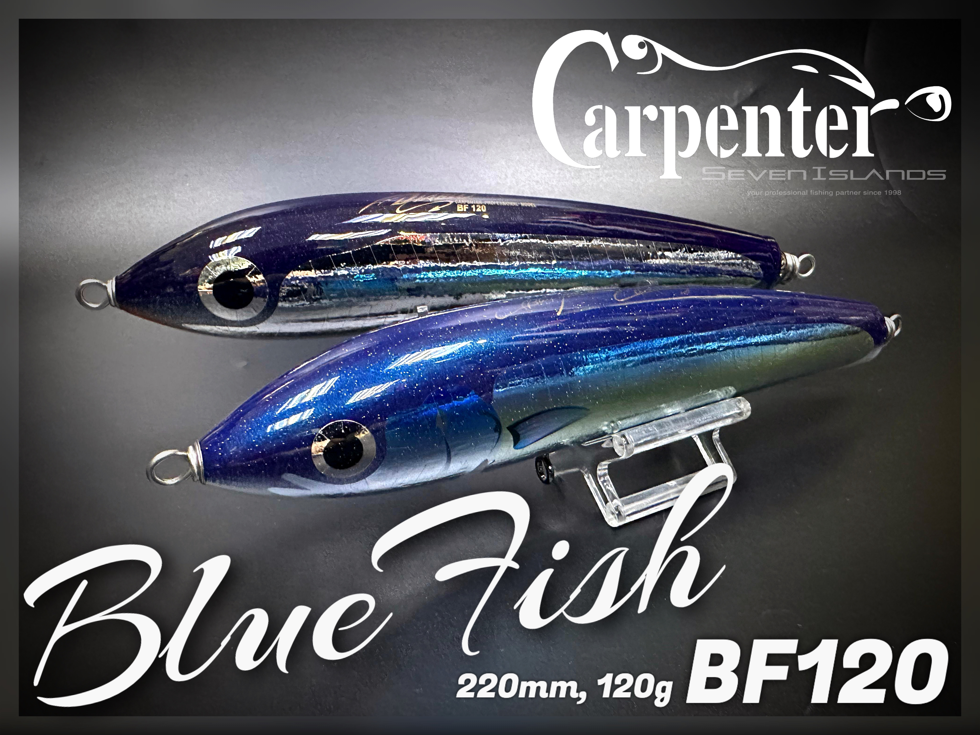 ツ*ん様 Carpenter BFブルーフィッシュ 75-180 2個セット ブルー