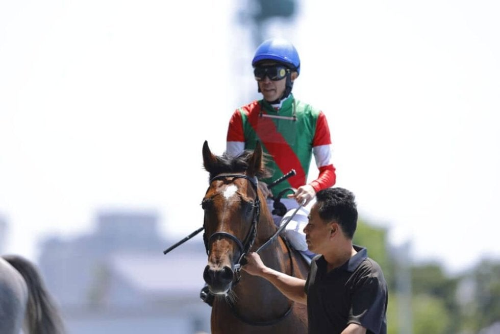 武豊騎手 今週の騎乗馬…JRA通算4600勝まであと4勝 | その他競技