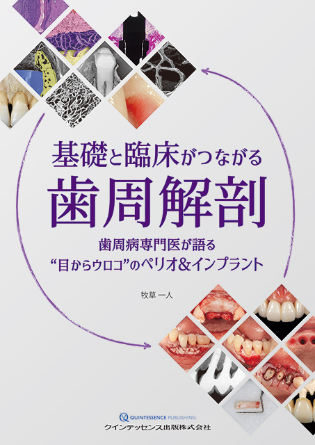 基礎と臨床がつながる歯周解剖 - クインテッセンス出版